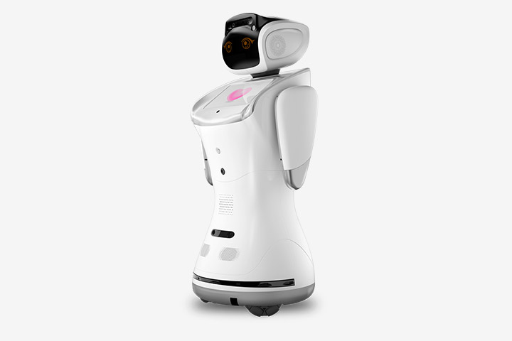 sanbot-thumbnail-summary-body-720x480