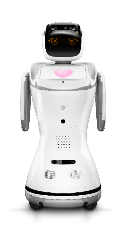 Sanbot_1